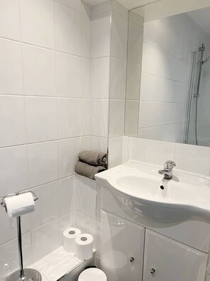 Hair dryer, towels, soap, toilet paper