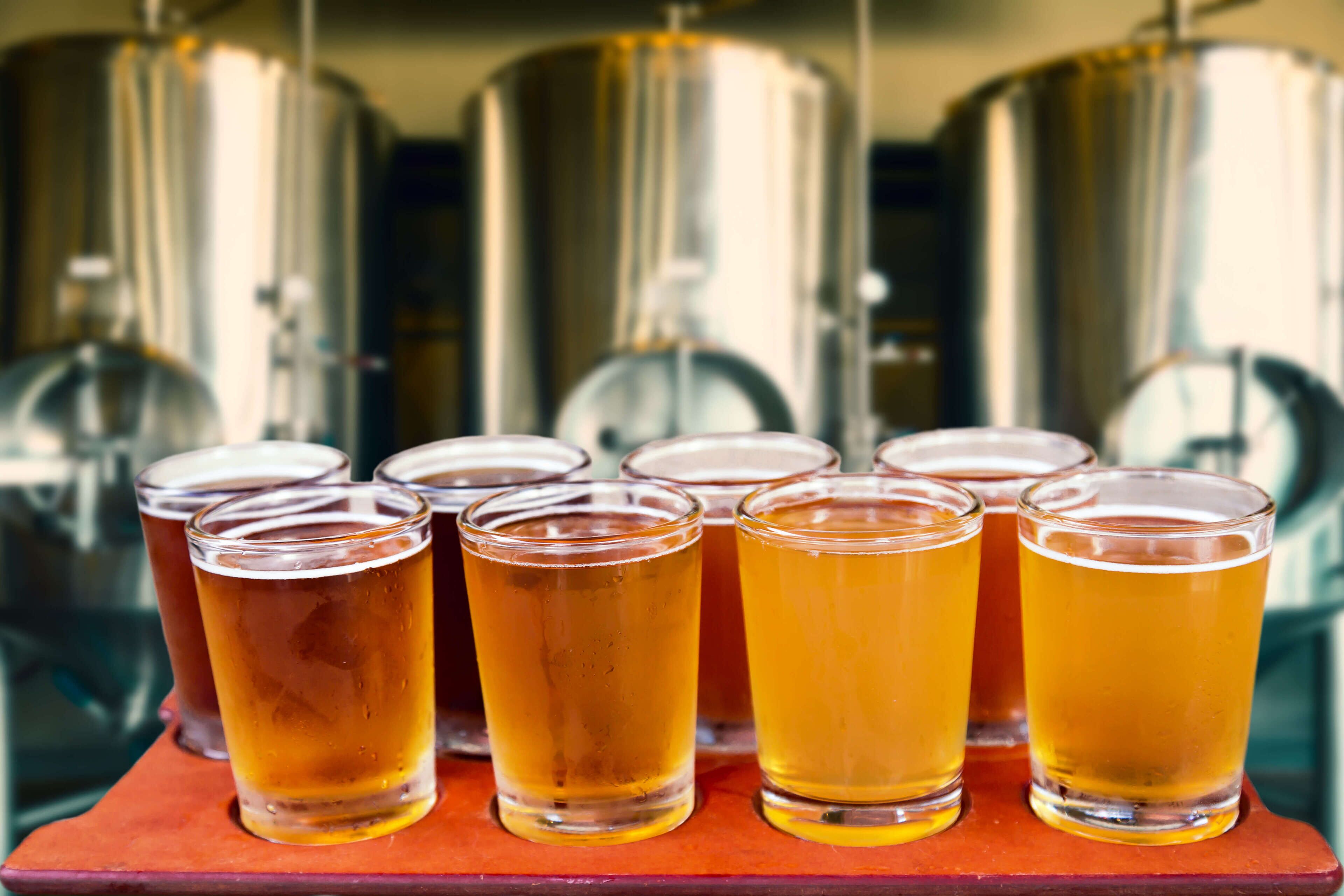 Seis vasos de cerveza sobre una bandeja con fondo de metal.