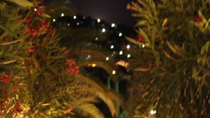 Una vista nocturna de una escalera rodeada de vegetación exuberante e iluminada por luces cálidas.