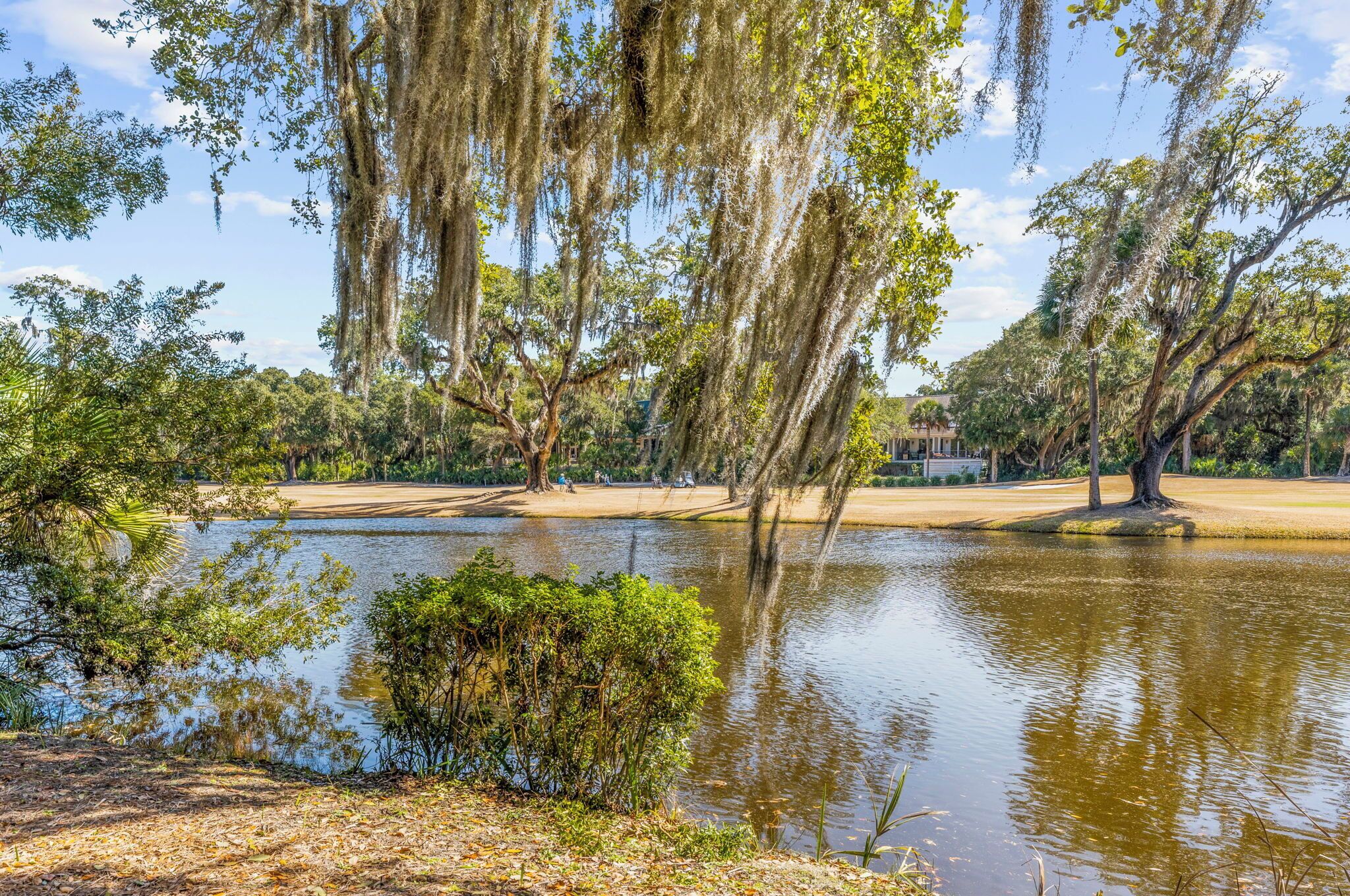Un parc paisible au bord d’un lac, avec de grands arbres, une zone sablonneuse et une étendue d’eau calme.