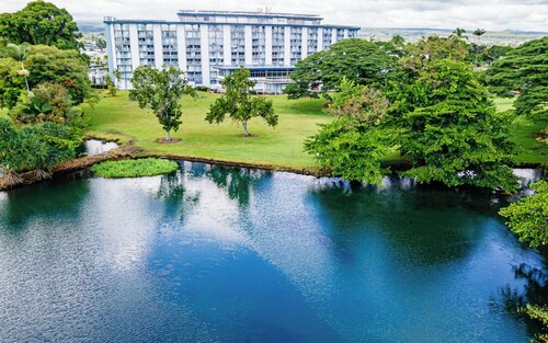LOOK! Studio Condo in Downtown Hilo: Lagoon Views, Pool, AC