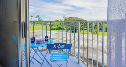 LOOK! Studio Condo in Downtown Hilo: Lagoon Views, Pool, AC