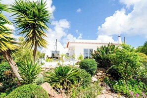 A modern house with a white exterior, surrounded by a lush garden with various plants and a clear blue sky.