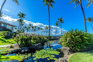 Property grounds - Wailea Beach Villa B202 3 Bedroom Condo (Kihei)