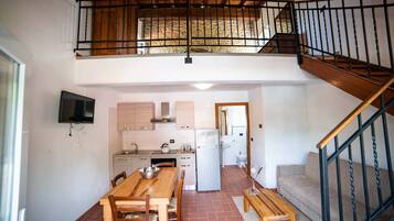 Smart TV, caminetto, libri