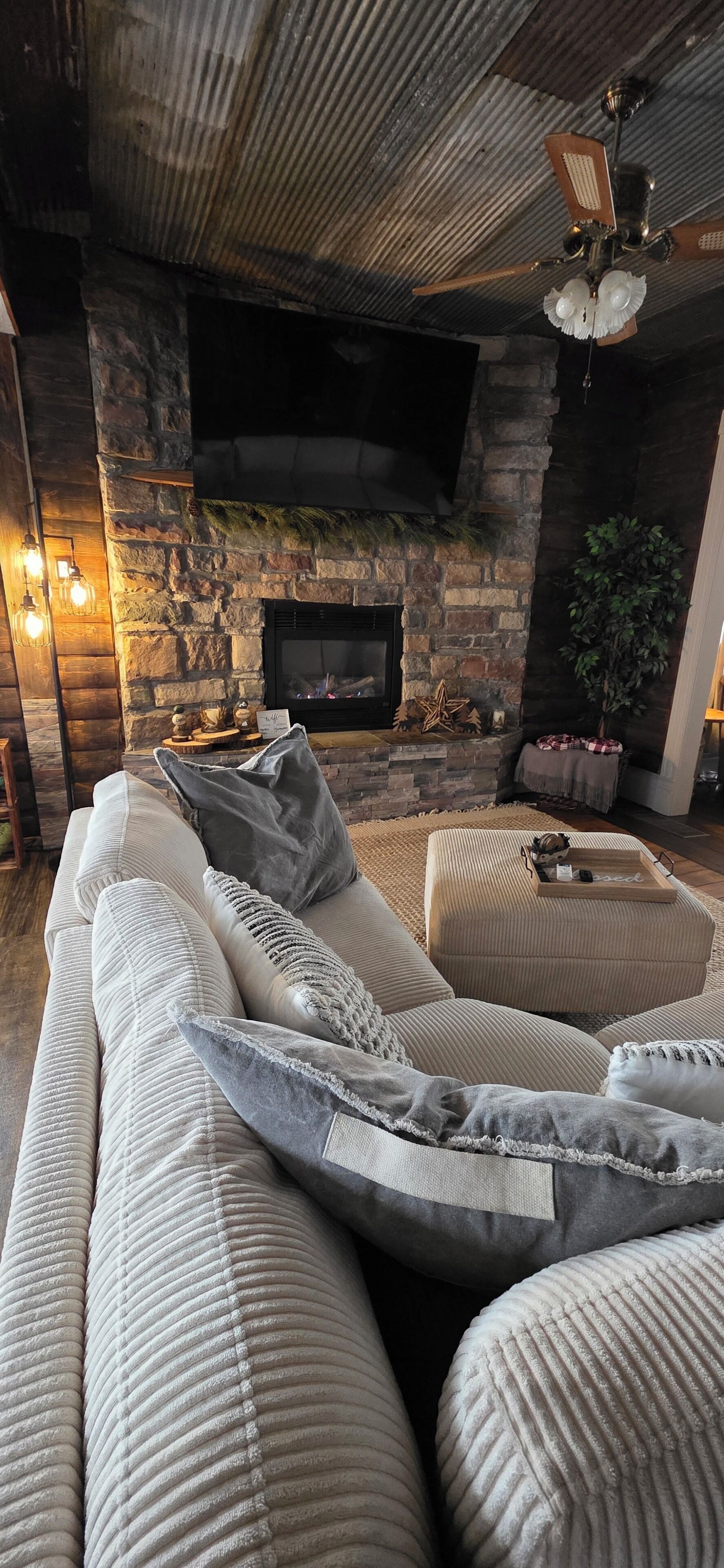 Smart TV, fireplace, books