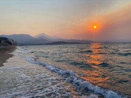 在海灘附近