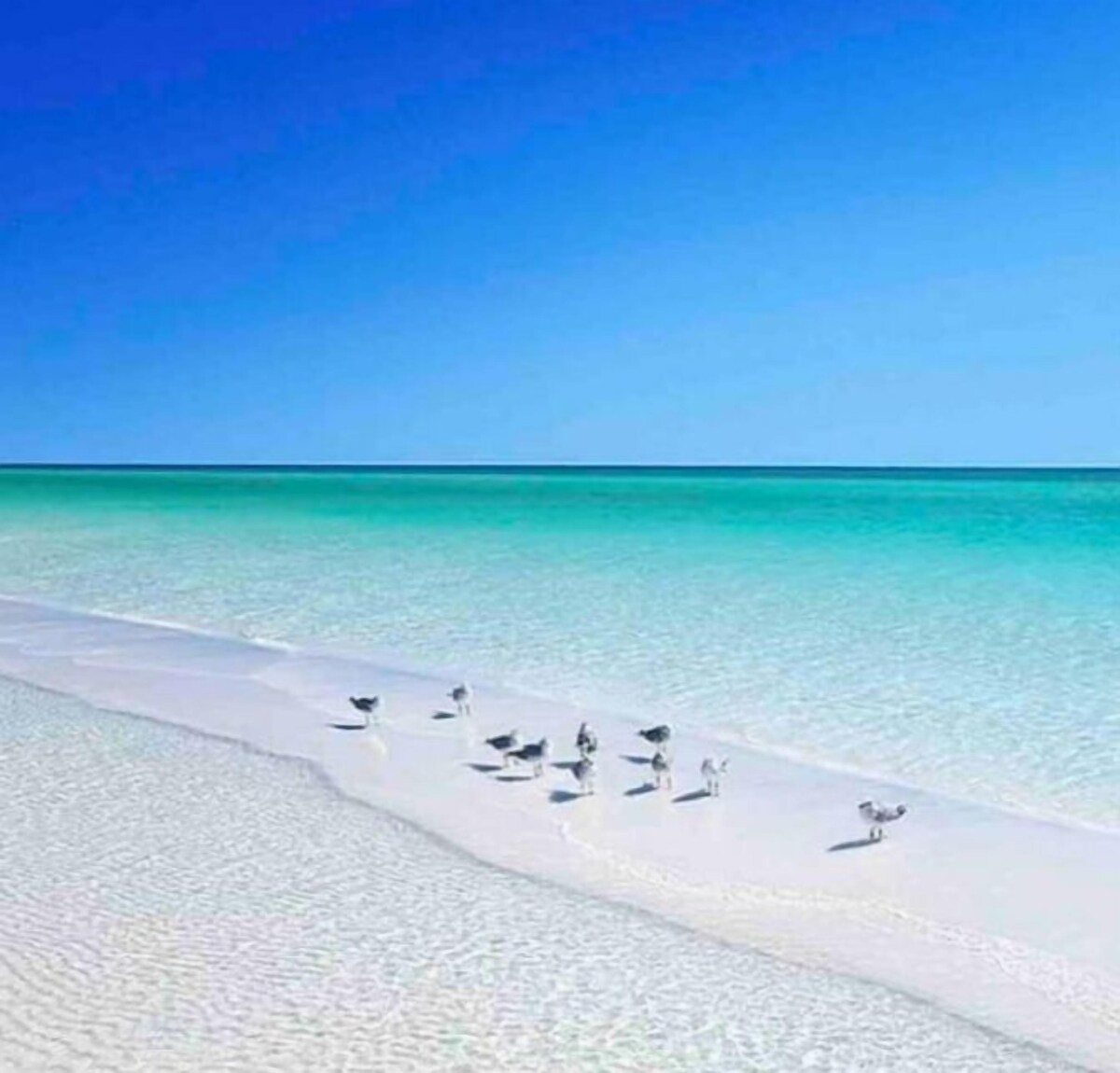 Photo 28 of White soft sand beautiful beaches just mins away.