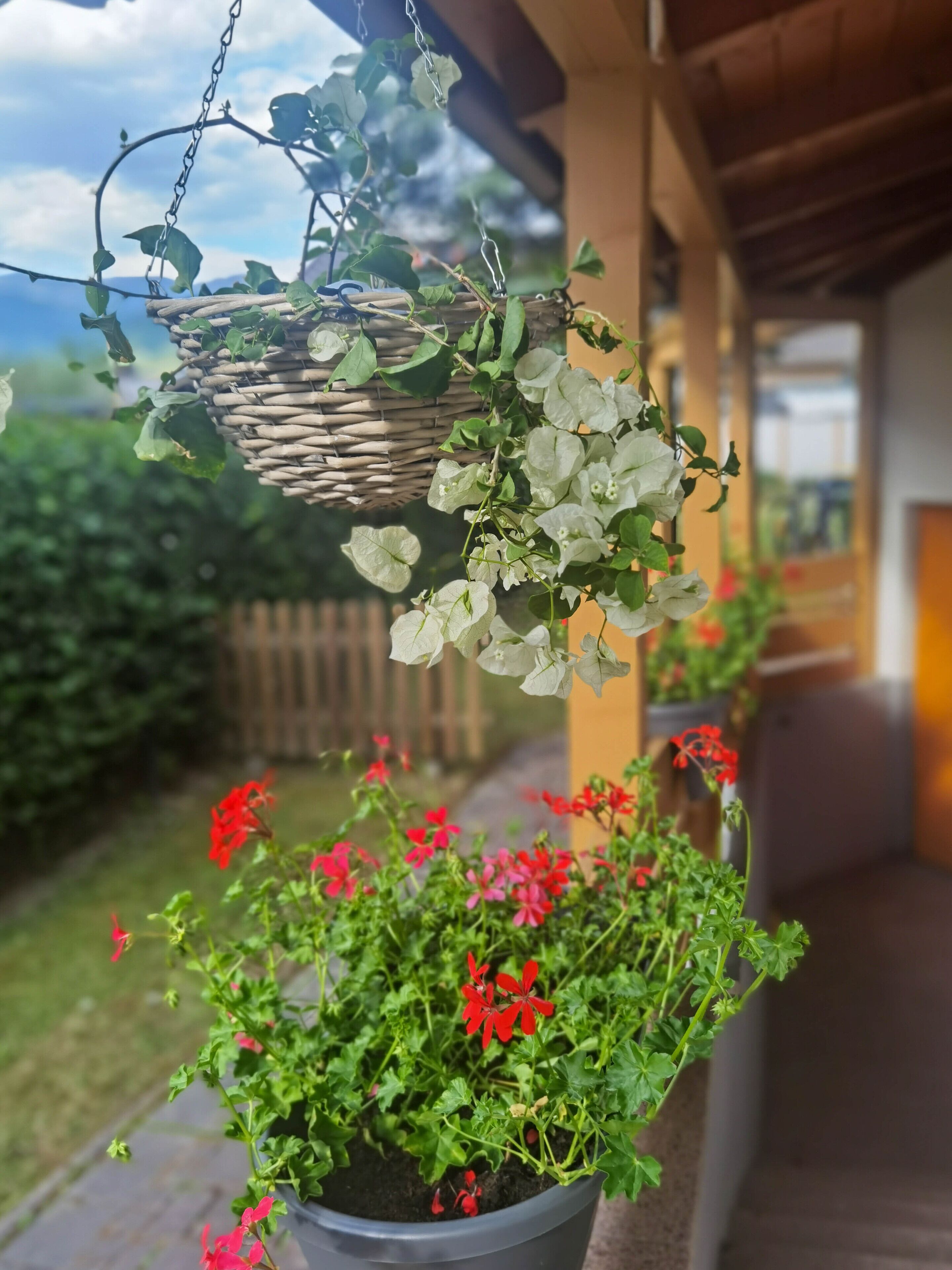 Ein hängender Korb mit weißen Blüten und ein Blumentopf mit roten Blüten auf einer Veranda.