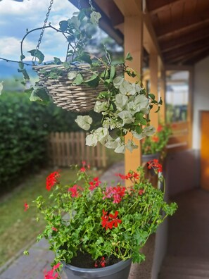 Een bloemenmand met witte bloemen en een potplant met rode bloemen op een terras.