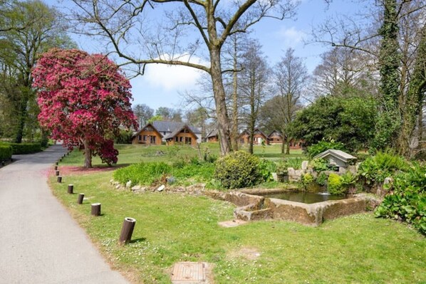 المنطقة المحيطة بالمنشأة