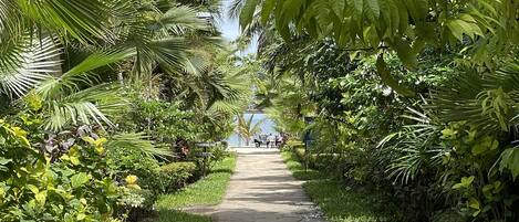 A paved pathway flanked by lush greenery and palm trees, leading to a distant view of a body of water.