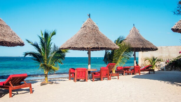 Une plage avec des parasols en chaume, des chaises longues rouges et un palmier.