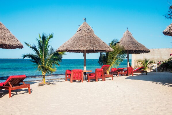 Plage, sable blanc, bar de plage