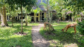 Basic-Doppelzimmer, 2 Schlafzimmer, Gartenblick | Individuell dekoriert, Schreibtisch, laptopgeeigneter Arbeitsplatz