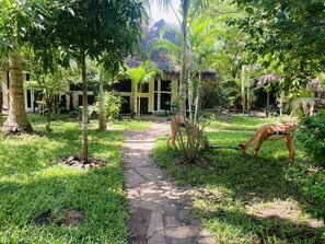 基本雙人房, 2 間臥室, 花園景觀 | 獨特裝潢、書桌、筆電工作空間、隔音