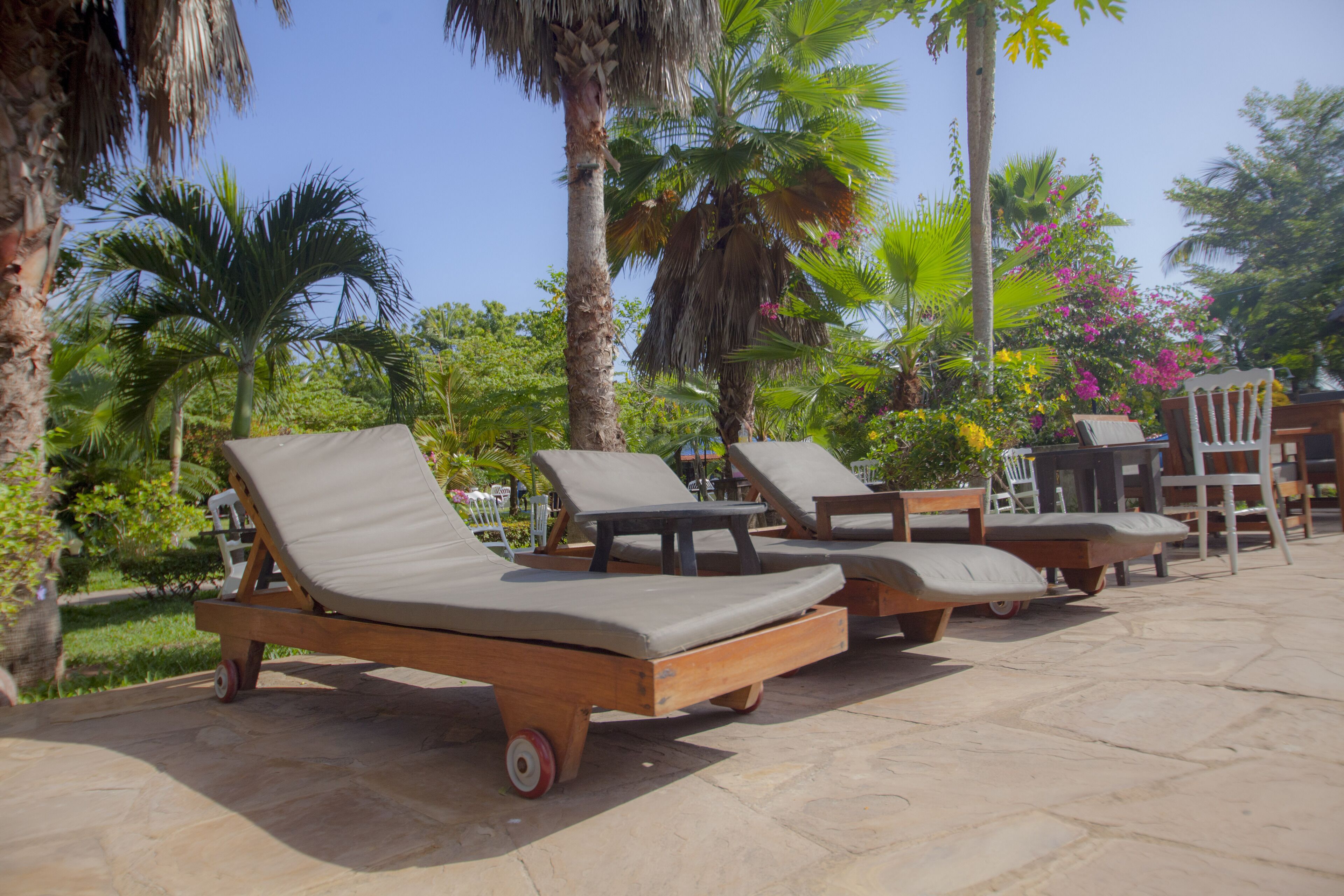 A row of wooden lounge chairs with wheels, arranged on a stone patio surrounded by palm trees and tropical plants.