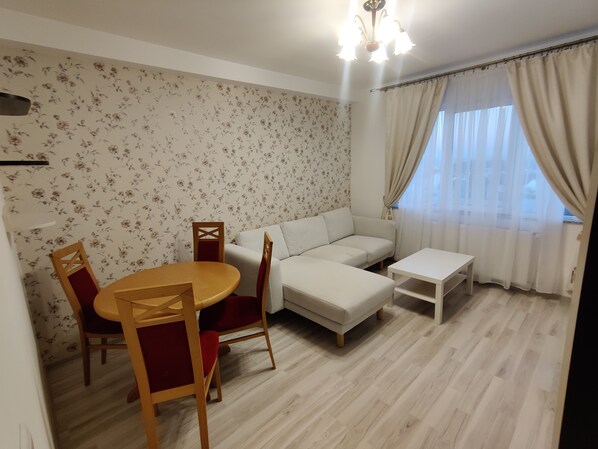 TV - Townview Budget Penthouse (Suceava)