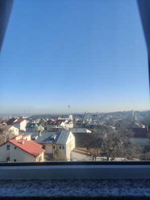 Interior - Townview Budget Penthouse (Suceava)