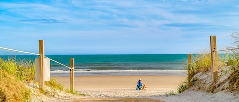Plage à proximité