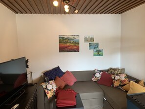 电视、壁炉、书、音乐库