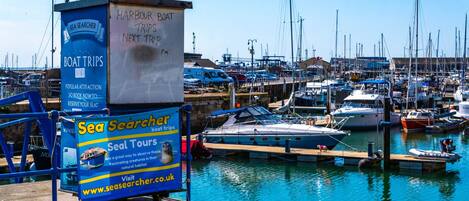 Una marina con barcos amarrados, un cartel anunciando paseos en barco Sea Searcher y un muelle con una estructura azul.