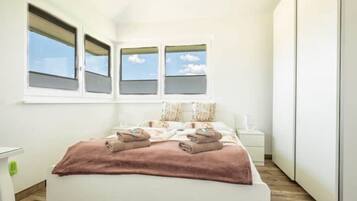 2 bedrooms, iron/ironing board, travel crib, free WiFi