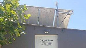 A white door with the word "Lavandéria" and a towel graphic, a small set of steps, and a plant beside it. - Casal do Crego (O Grove)