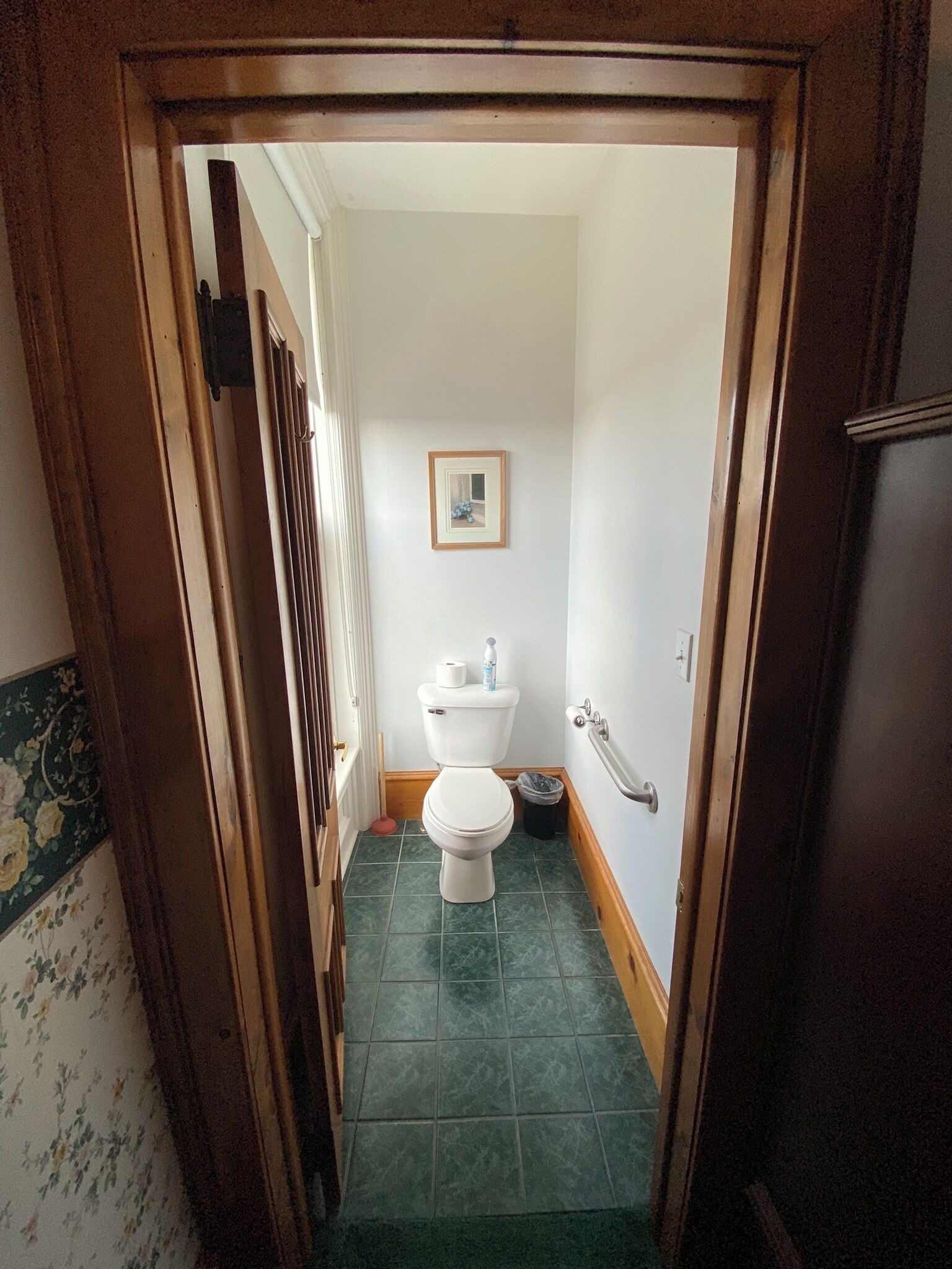 A narrow hallway leading to a small bathroom with a toilet, a framed picture on the wall, and a trash bin.