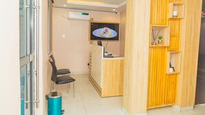 Soundproofing, iron/ironing board, WiFi (free) - Onyx and Ivy Homes (Lekki)