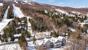 A residential area with houses, a ski slope, and a forested mountain backdrop.