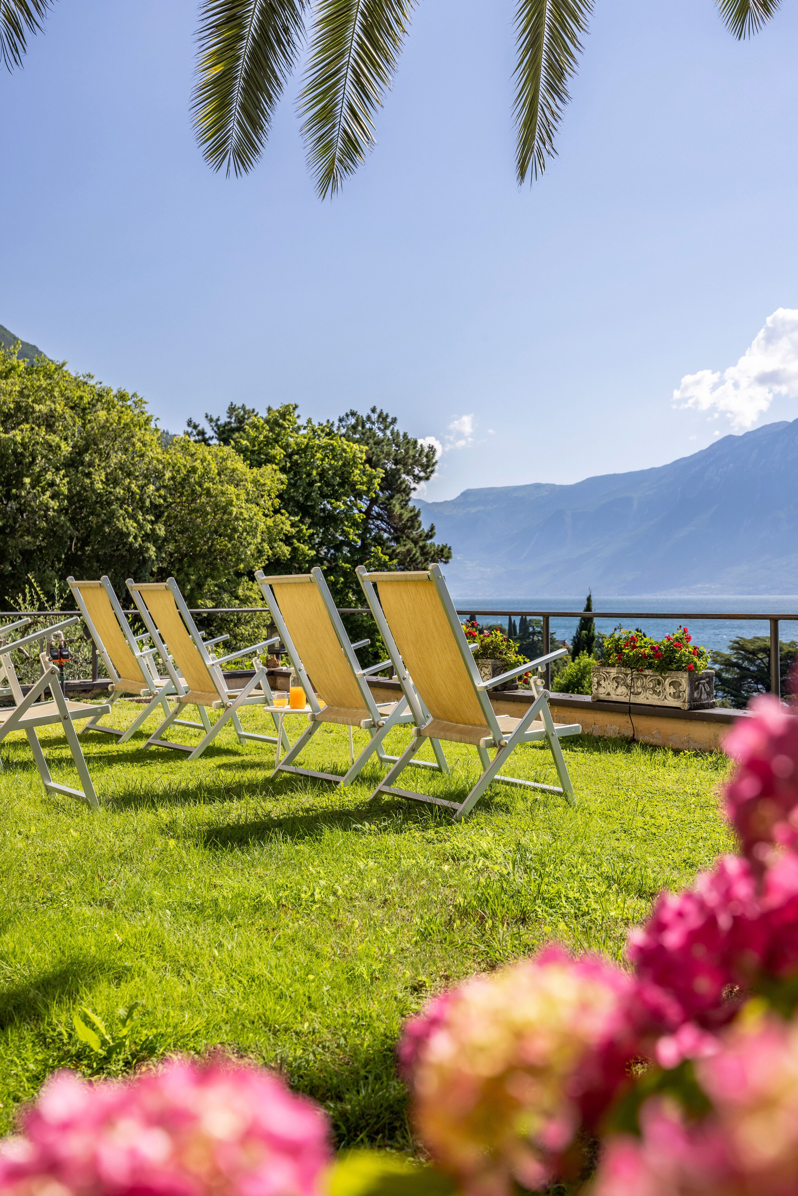 Une rangée de chaises longues est disposée sur une pelouse, offrant une vue sur un lac et des montagnes en arrière-plan.