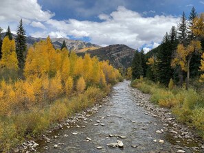 Ein Fluss mit Steinen und gelbem Laub, umgeben von Bergen und Bäumen.