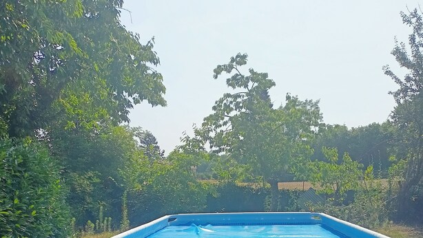 Ein oberirdischer Swimmingpool mit weißem Rahmen, umgeben von Bäumen und Pflanzen.