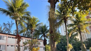 A courtyard with palm trees, a building with multiple floors, and a grassy area. - Local 102 Apartment  (Rio de Janeiro)
