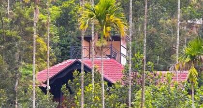 Waters Edge Premium PrivateVilla