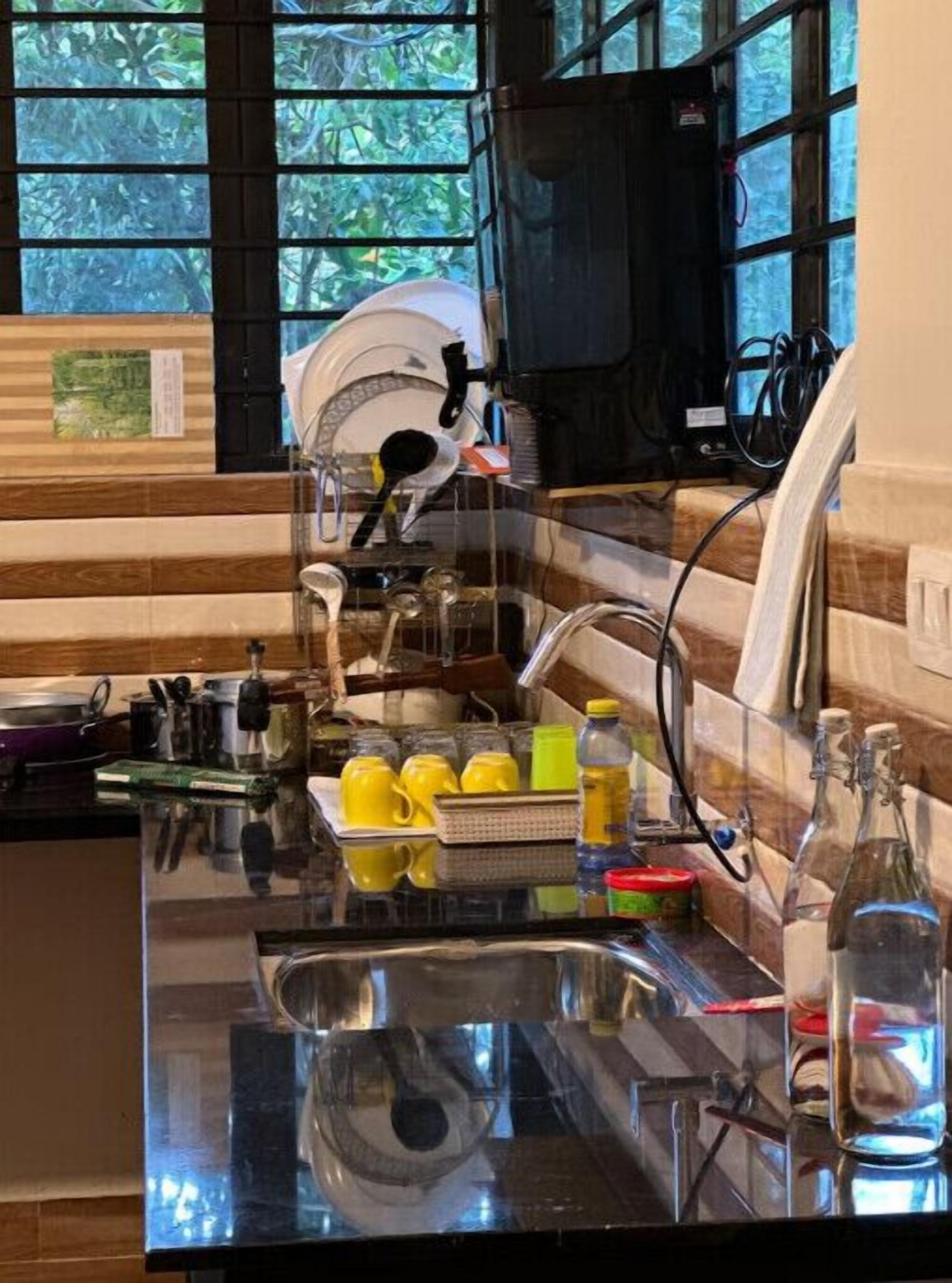 Fridge, stovetop, electric kettle, cookware/dishes/utensils