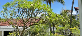 Appartement T2 Le Letchi 44 m2 Saint Gilles - Boucan Canot à 300m de la Plage