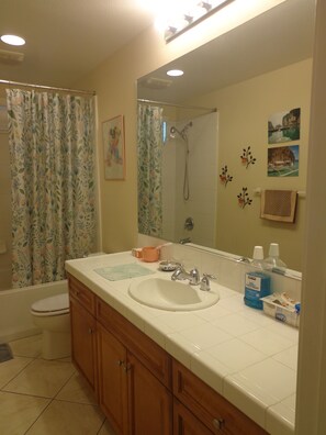 Secadora de cabello, bidet, toallas, papel de baño 