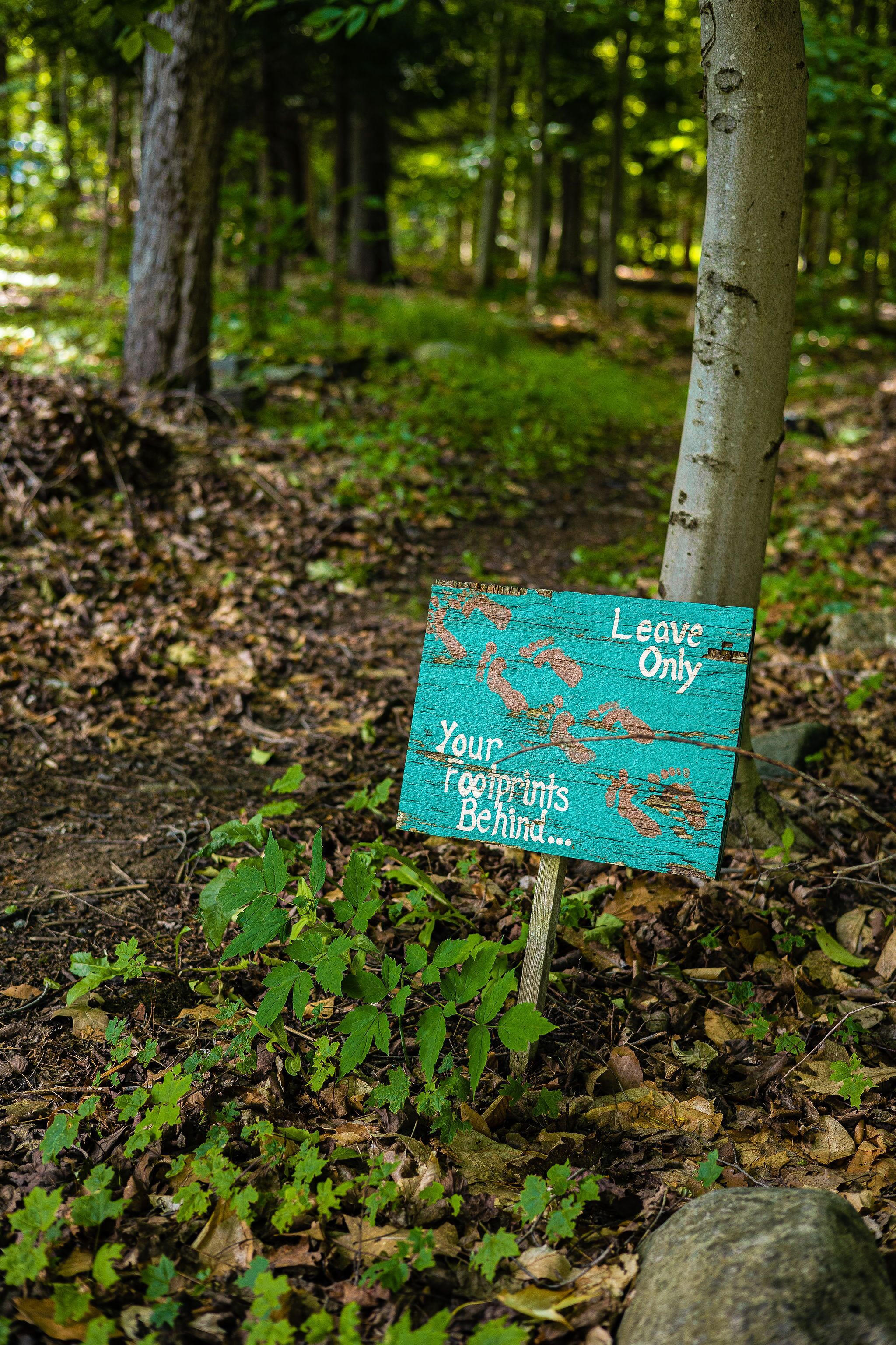 A sign in a forested area with the message "Leave Only Your Footprints Behind."
