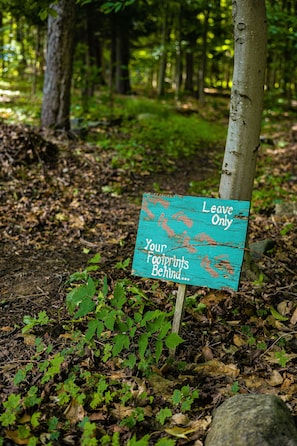 A sign in a forested area with the message "Leave Only Your Footprints Behind." - The Dax Lodge and Cabins  (Tupper Lake)