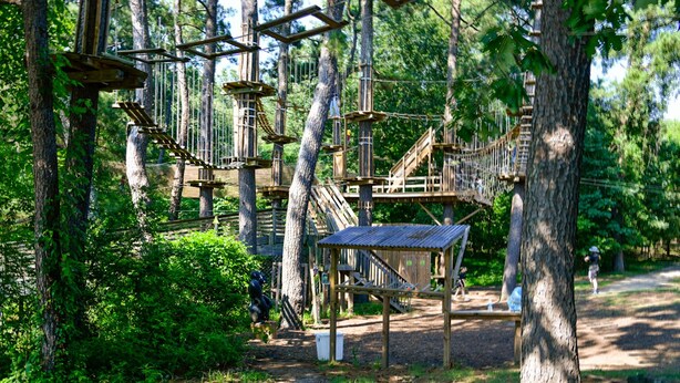 A forested area with a wooden rope bridge and a small shelter. - Shelby Farms Greenline Access: Modern Cordova Home (Cordova)