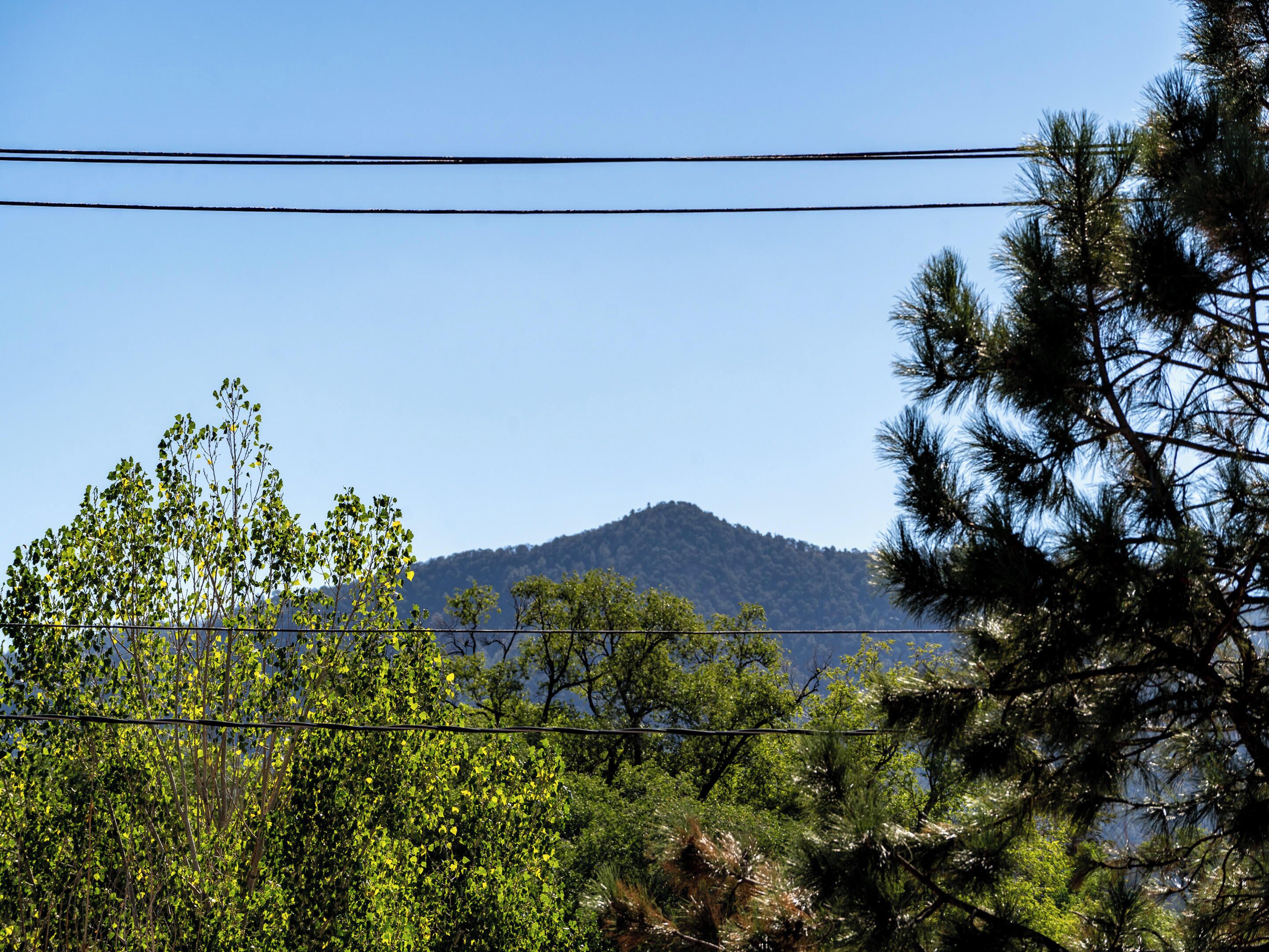 A mountain with a clear sky in the background, surrounded by dense green foliage.