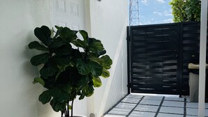 Una planta en maceta blanca sobre un patio con baldosas y un portón negro al fondo.