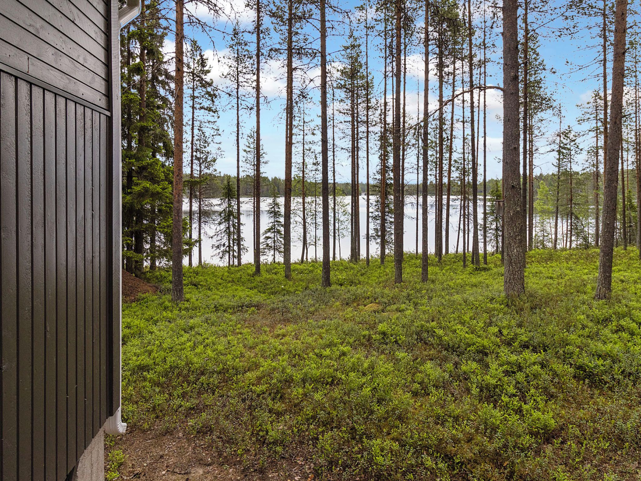 A view of a forested area with a body of water in the background, a wooden building on the left, and a ground covered with green vegetation.