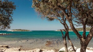 Una playa con agua turquesa cristalina, costa rocosa y un árbol en primer plano.