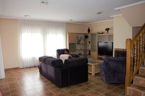 TV, fireplace, books, computer monitors