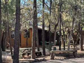 Outdoor dining - Cabin 3 No Hot Tub (Navajo County)
