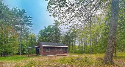Pet-Friendly Sunapee Cabin Getaway