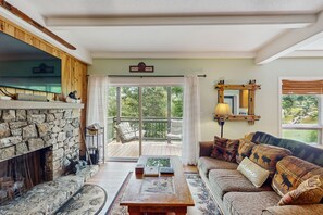 Televisión, chimenea, reproductor de DVD y libros 